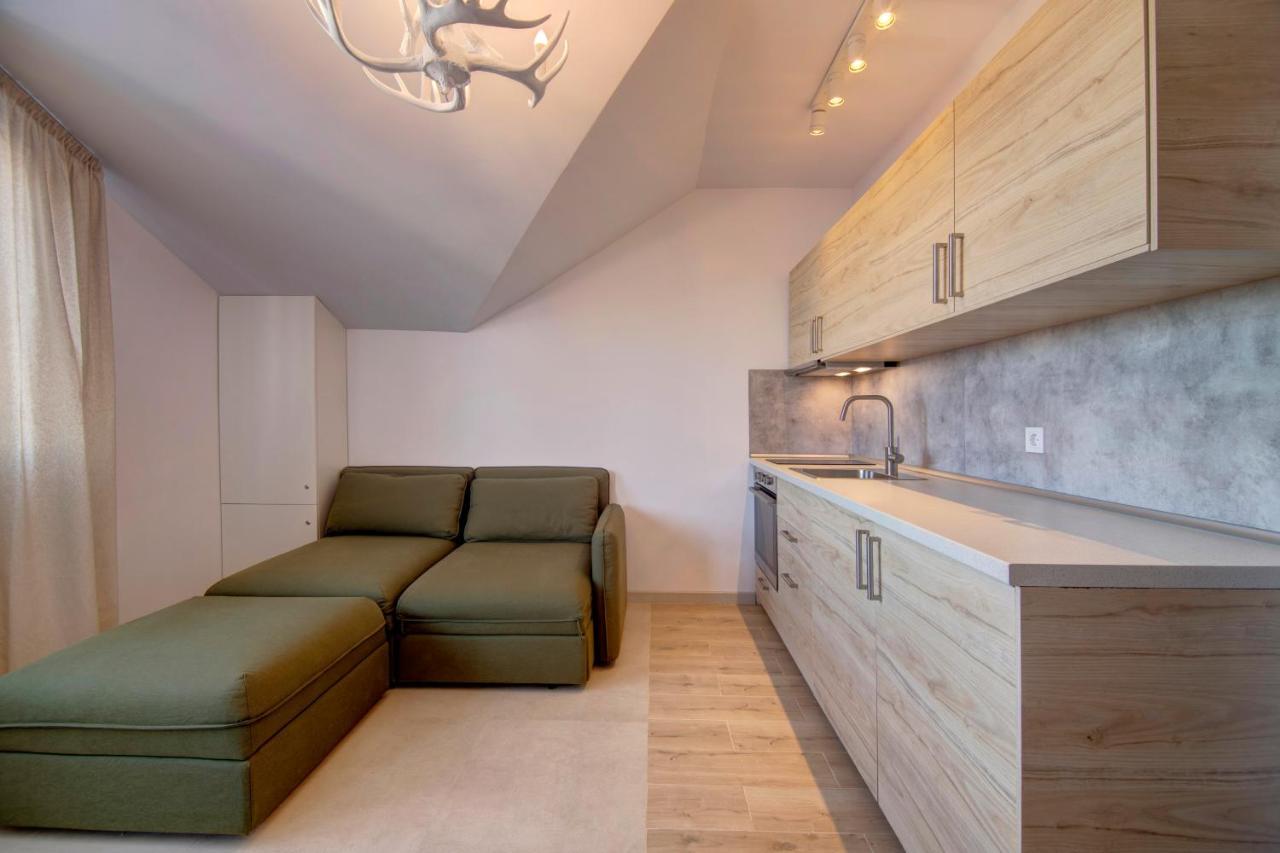 Pinewood Apartment ボロヴェッツ エクステリア 写真