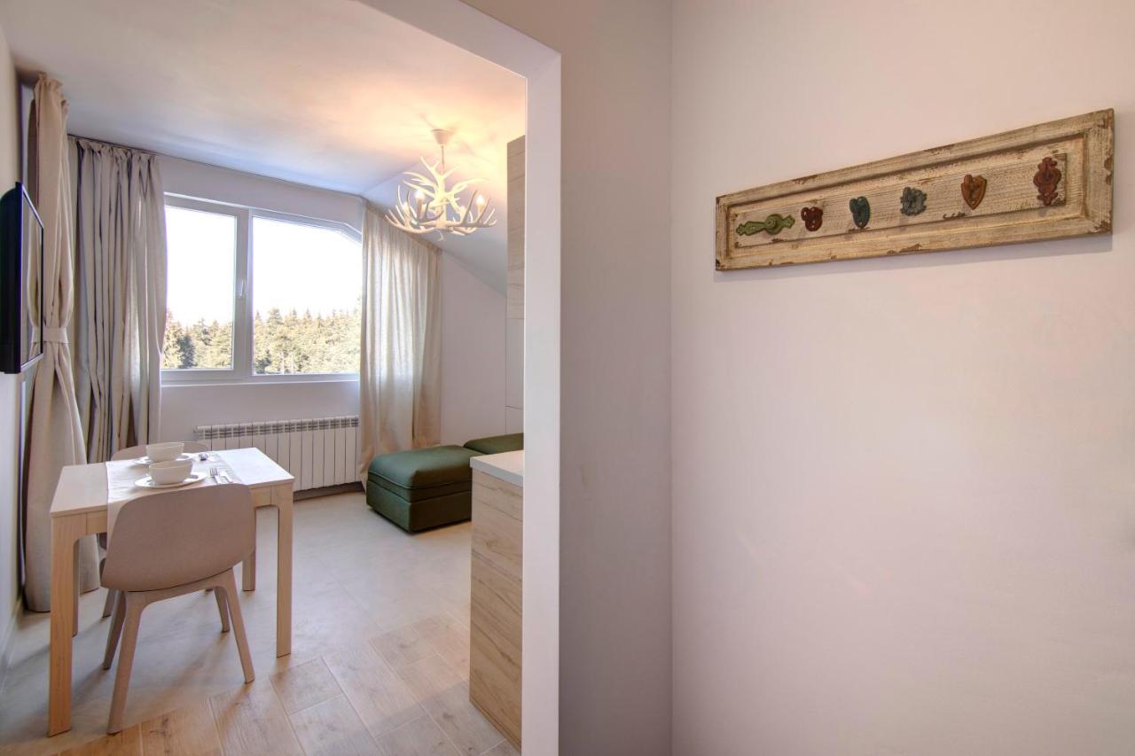 Pinewood Apartment ボロヴェッツ エクステリア 写真